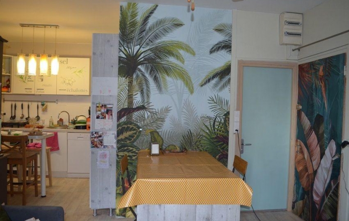 Réseau Immo-diffusion : Appartement P3  SAINT-LAURENT-SUR-SAONE  49 m2 84 500 € 