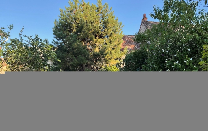 Maison SALORNAY-SUR-GUYE (71250)  111 m2 120 000 € 