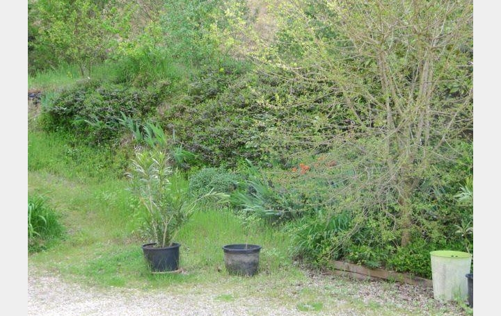 Maison JASSANS-RIOTTIER (01480)  290 m2 470 000 € 