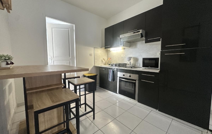 Appartement LE MANS (72100) 20 m<sup>2</sup> 510 € 