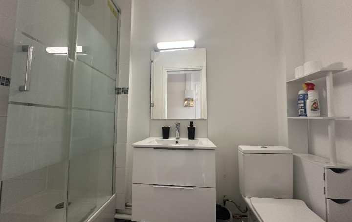 1 Pièce LE MANS (72100)  19 m2 500 € 