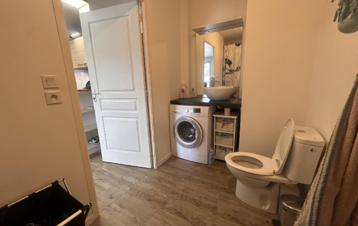1 Pièce LE MANS (72000)  29 m2 114 450 € 