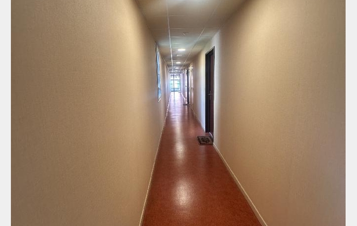 1 Pièce LE MANS (72000)  29 m2 114 450 € 