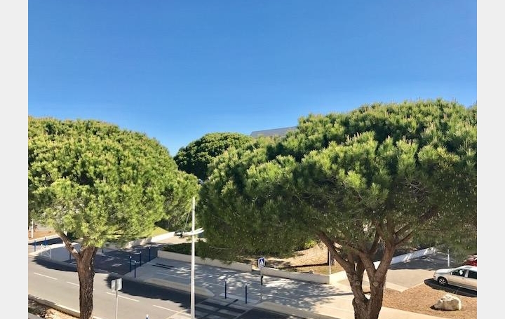 Studio LE GRAU-DU-ROI (30240)  18 m2 210 € 