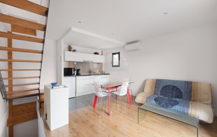 2 Pièces LE GRAU-DU-ROI (30240)  48 m2 350 € 