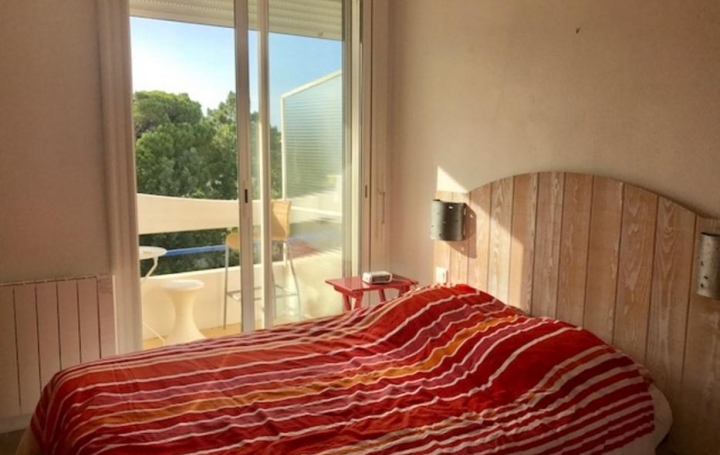 2 Pièces LE GRAU-DU-ROI (30240)  39 m2 850 € 