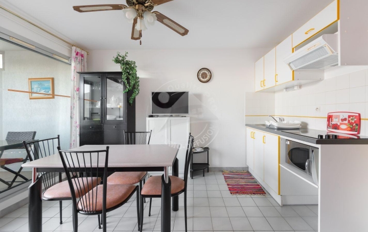 2 Pièces LE GRAU-DU-ROI (30240)  30 m2 267 € 