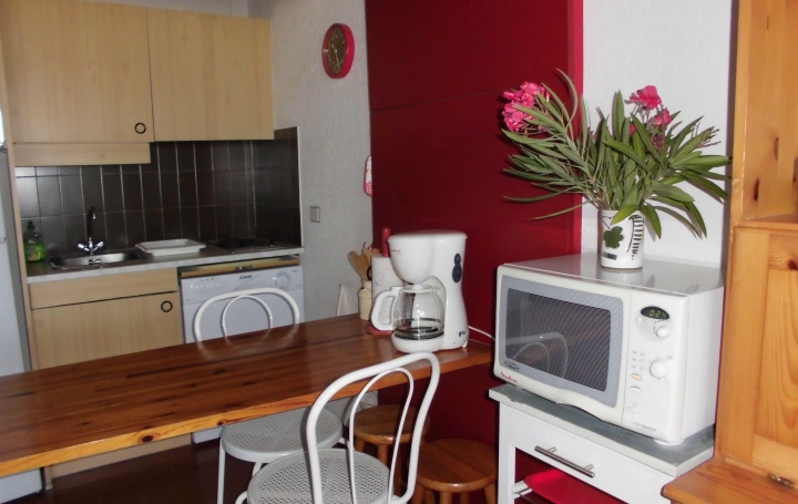 2 Pièces LE GRAU-DU-ROI (30240)  33 m2 507 € 