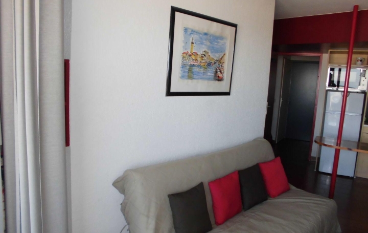 2 Pièces LE GRAU-DU-ROI (30240)  33 m2 507 € 