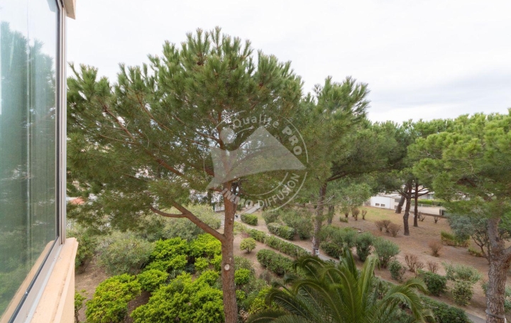 2 Pièces LE GRAU-DU-ROI (30240)  32 m2 420 € 