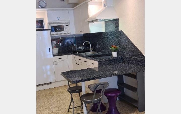 Studio LE GRAU-DU-ROI (30240)  27 m2 220 € 