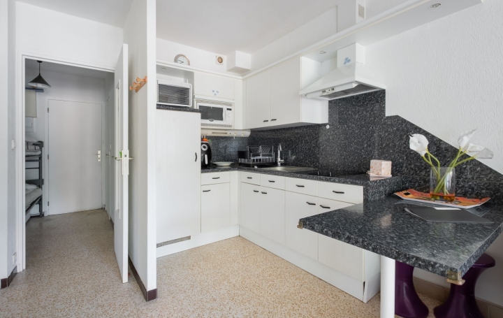 Studio LE GRAU-DU-ROI (30240)  27 m2 220 € 