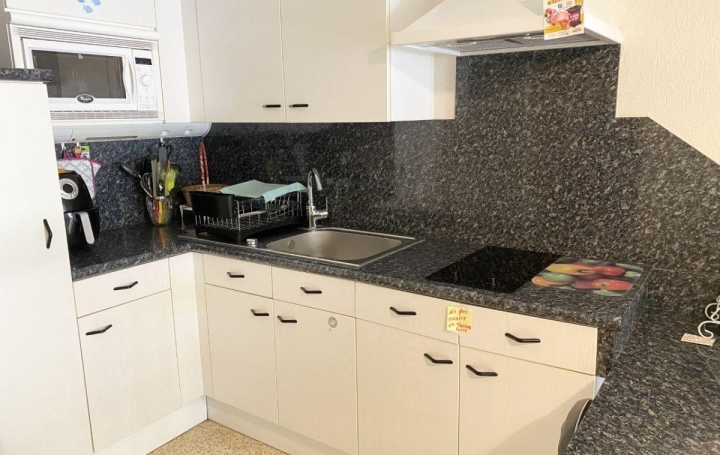 Studio LE GRAU-DU-ROI (30240)  27 m2 220 € 