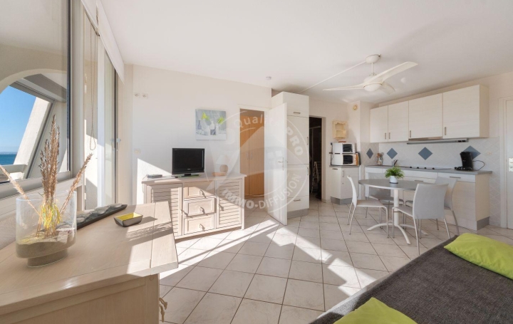 2 Pièces LE GRAU-DU-ROI (30240)  30 m2 360 € 