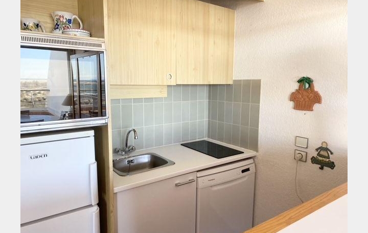 2 Pièces LE GRAU-DU-ROI (30240)  62 m2 513 € 