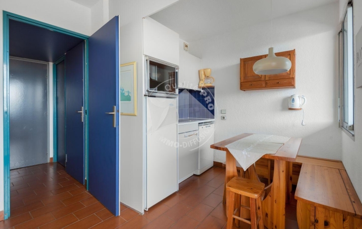 Studio LE GRAU-DU-ROI (30240)  23 m2 270 € 