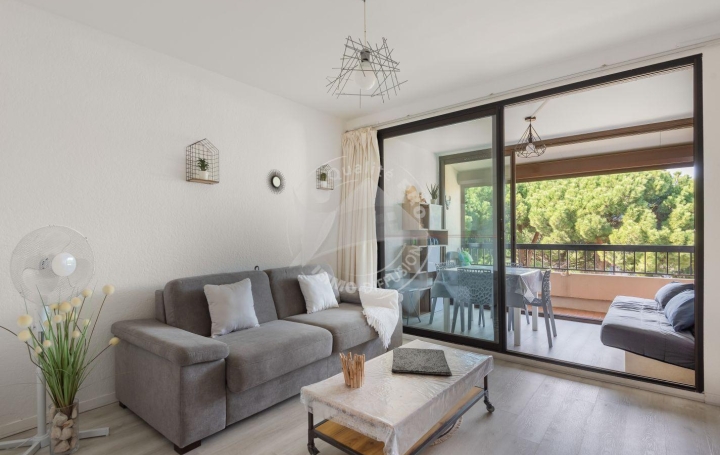 2 Pièces LE GRAU-DU-ROI (30240)  35 m2 300 € 