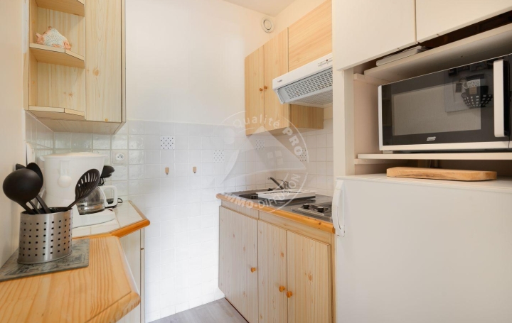 2 Pièces LE GRAU-DU-ROI (30240)  35 m2 300 € 