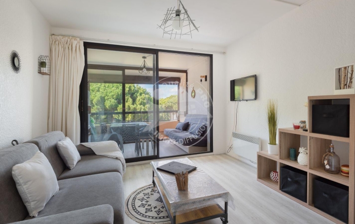 2 Pièces LE GRAU-DU-ROI (30240)  35 m2 300 € 