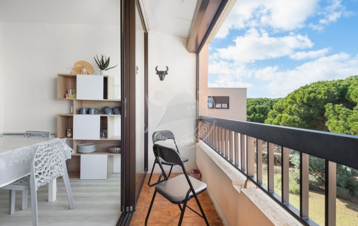 2 Pièces LE GRAU-DU-ROI (30240)  35 m2 300 € 