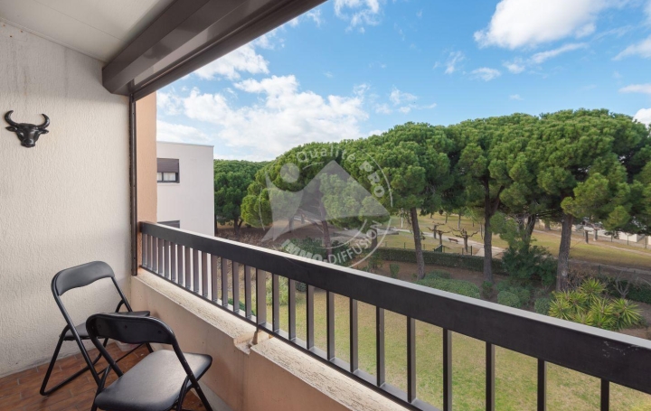 2 Pièces LE GRAU-DU-ROI (30240)  35 m2 300 € 