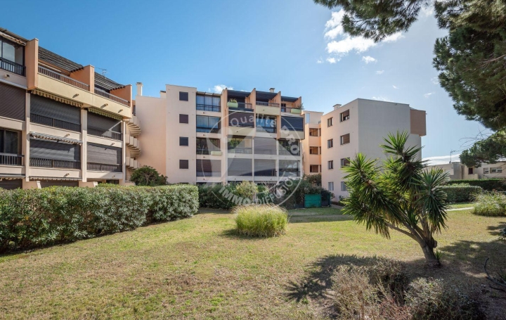 2 Pièces LE GRAU-DU-ROI (30240)  35 m2 300 € 