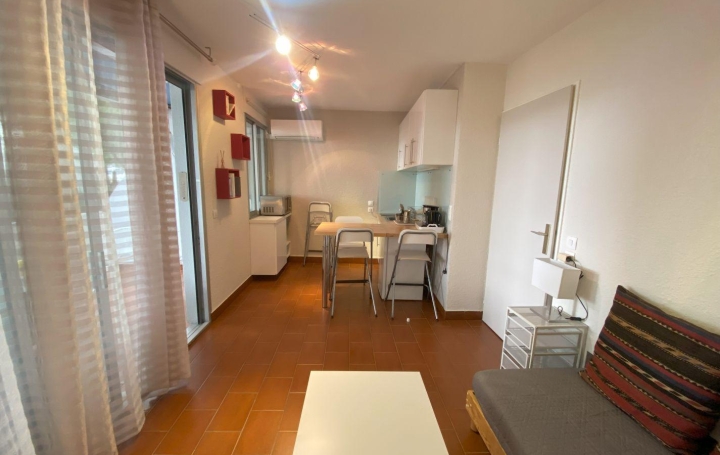 Studio LE GRAU-DU-ROI (30240)  24 m2 270 € 