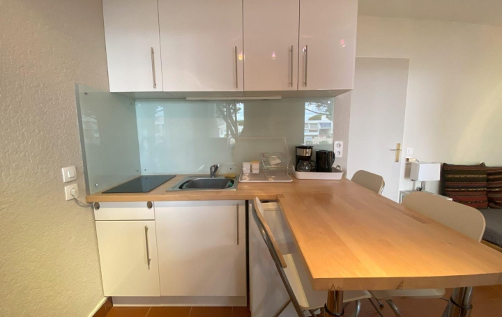 Studio LE GRAU-DU-ROI (30240)  24 m2 270 € 