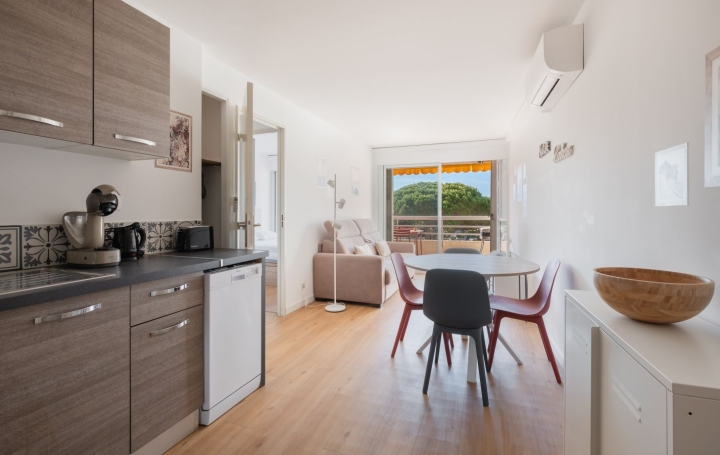 2 Pièces LE GRAU-DU-ROI (30240)  35 m2 380 € 