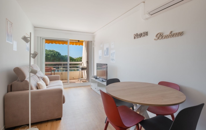 2 Pièces LE GRAU-DU-ROI (30240)  35 m2 380 € 