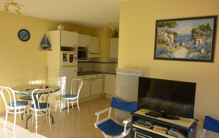 3 Pièces LE GRAU-DU-ROI (30240)  42 m2 550 € 