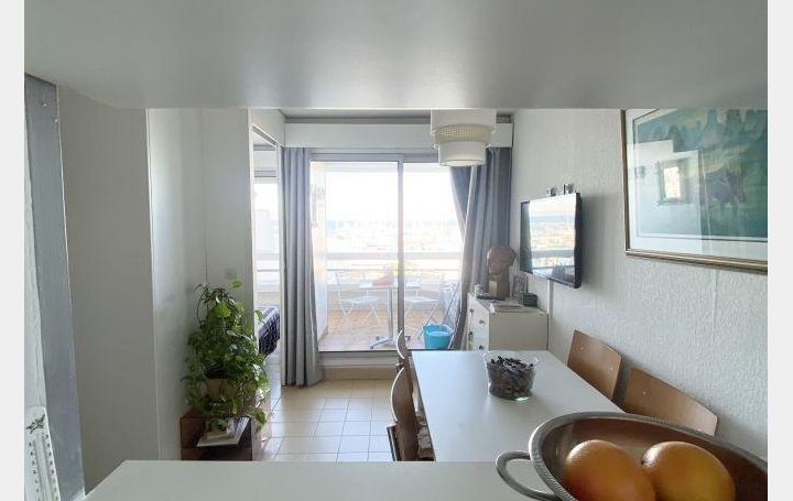 2 Pièces LE GRAU-DU-ROI (30240)  30 m2 720 € 