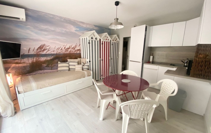 Studio LE GRAU-DU-ROI (30240)  21 m2 620 € 