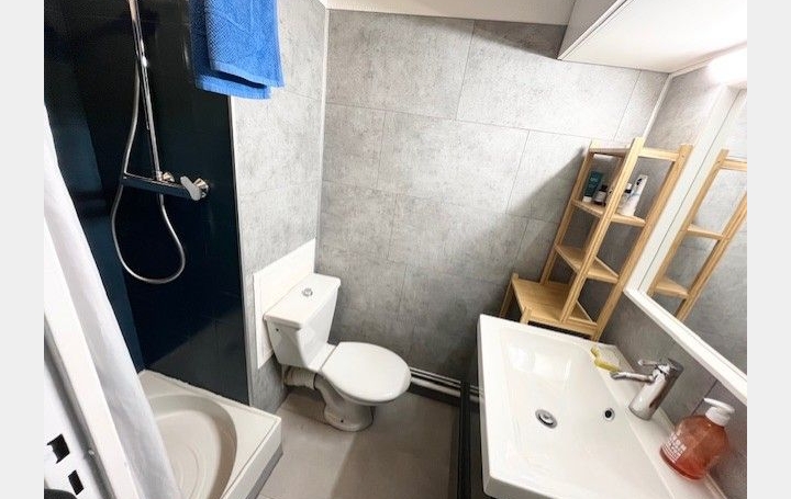 3 Pièces LE GRAU-DU-ROI (30240)  42 m2 420 € 
