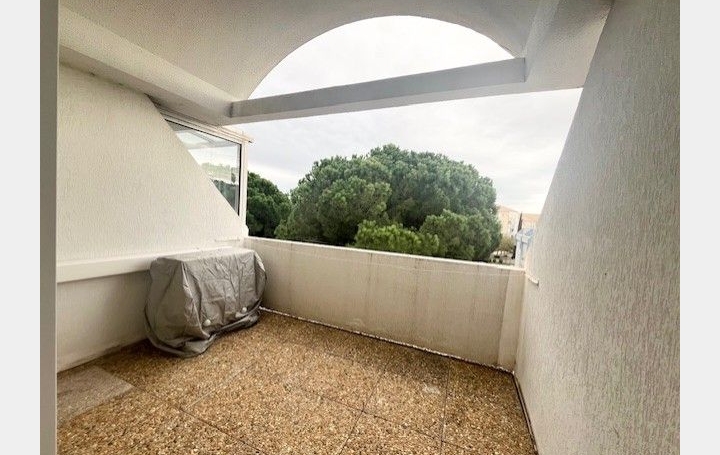 3 Pièces LE GRAU-DU-ROI (30240)  42 m2 420 € 