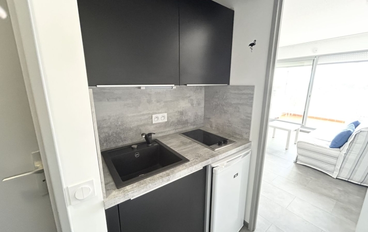 Studio LE GRAU-DU-ROI (30240)  20 m2 530 € 