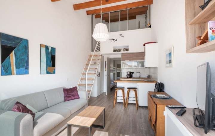 2 Pièces LE GRAU-DU-ROI (30240)  39 m2 330 € 