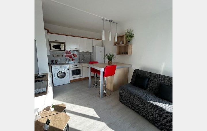2 Pièces LE GRAU-DU-ROI (30240)  31 m2 695 € 