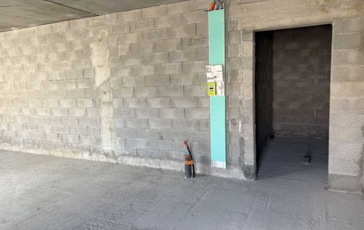 Local commercial LE GRAU-DU-ROI (30240)  41 m2 750 € 