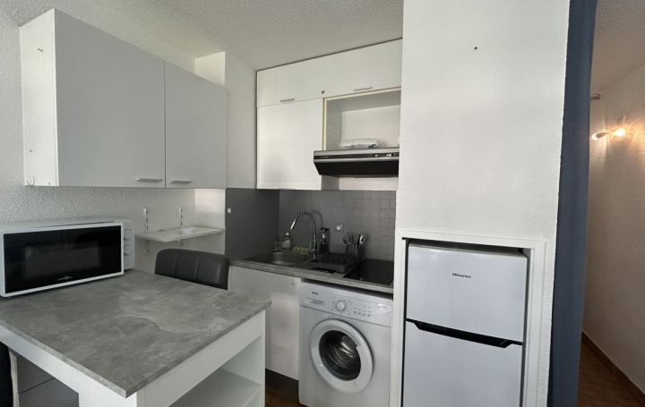 Studio LE GRAU-DU-ROI (30240)  20 m2 550 € 