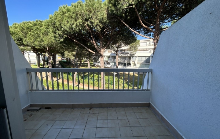 Studio LE GRAU-DU-ROI (30240)  20 m2 550 € 