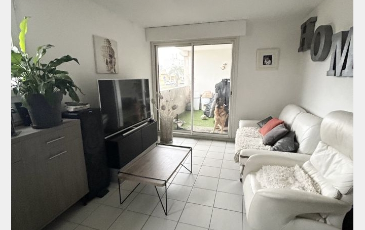 2 Pièces LE GRAU-DU-ROI (30240)  34 m2 790 € 