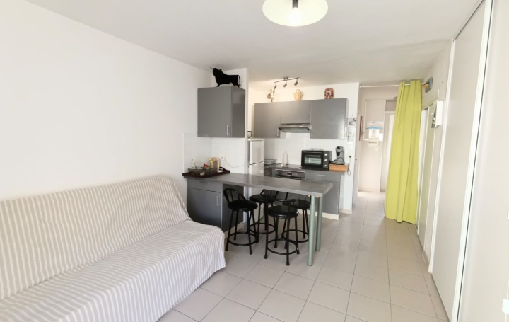 Studio LE GRAU-DU-ROI (30240)  28 m2 370 € 