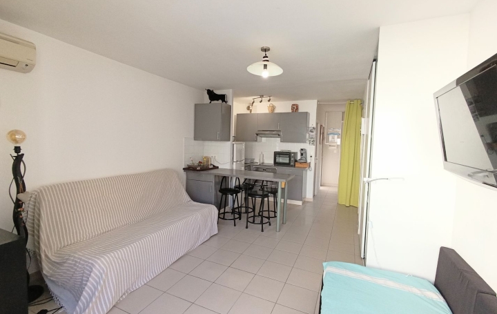 Studio LE GRAU-DU-ROI (30240)  28 m2 370 € 