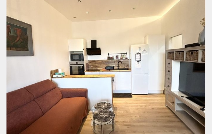 2 Pièces LE GRAU-DU-ROI (30240)  34 m2 420 € 