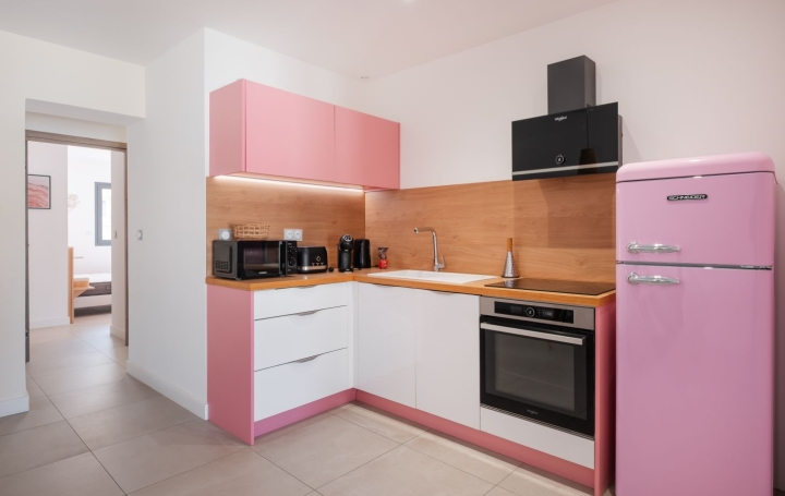 2 Pièces LE GRAU-DU-ROI (30240)  48 m2 450 € 