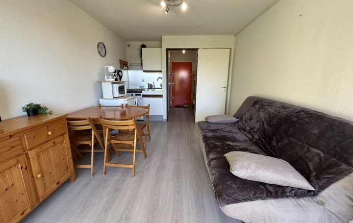Studio LE GRAU-DU-ROI (30240)  21 m2 260 € 