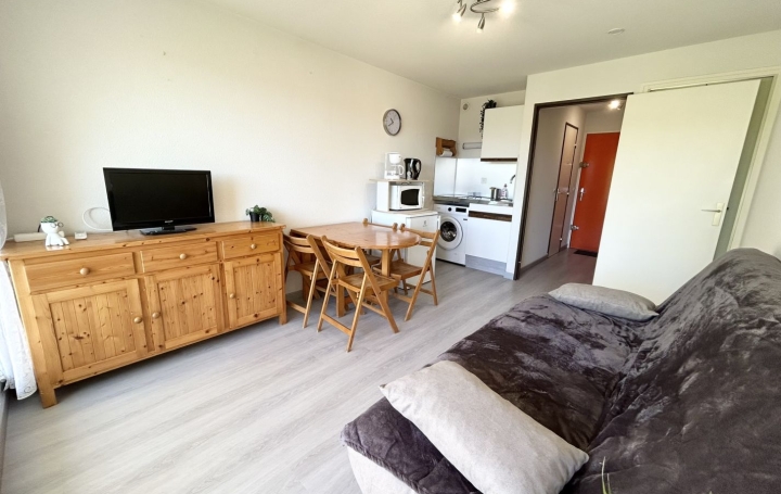 Studio LE GRAU-DU-ROI (30240)  21 m2 260 € 