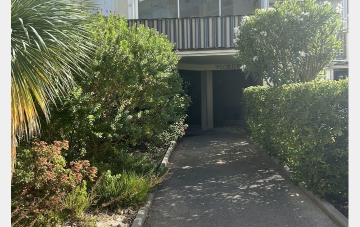 2 Pièces LE GRAU-DU-ROI (30240)  25 m2 620 € 