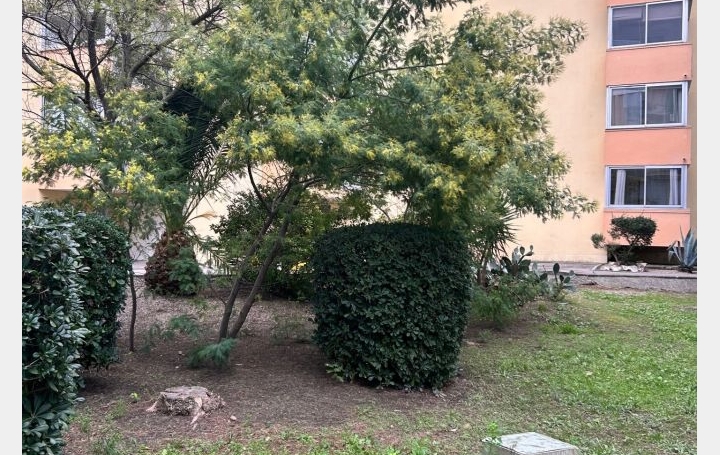 Studio LE GRAU-DU-ROI (30240)  21 m2 535 € 